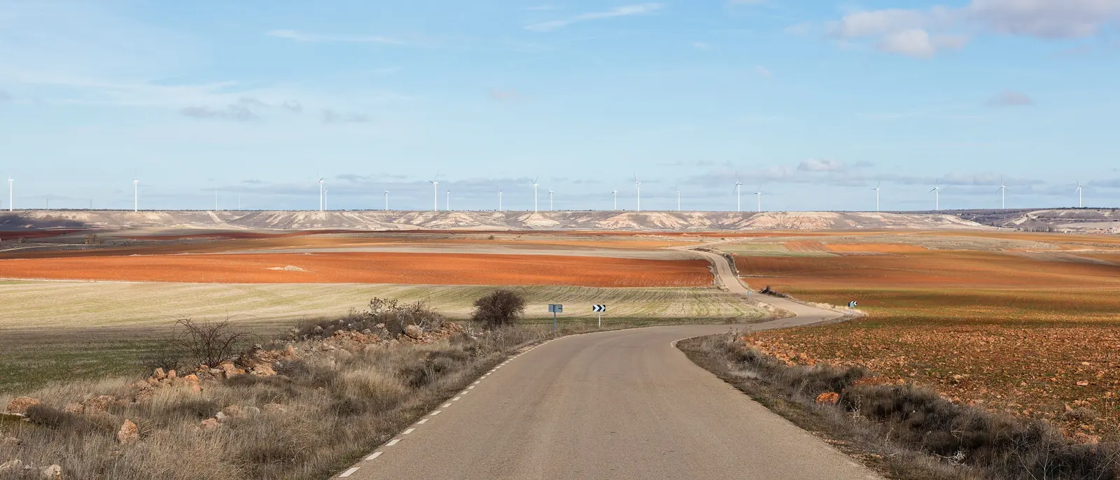 Carretera entre campos de cultivo en Soria, con aerogeneradores en el horizonte