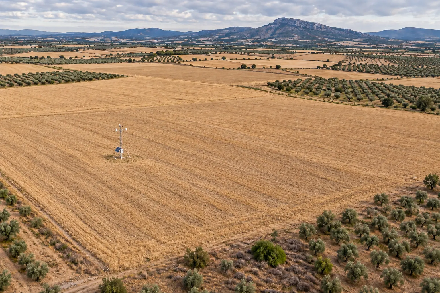 Vista aérea de campos de cereal y olivos con una estación meteorológica: el emplazamiento en prospección.